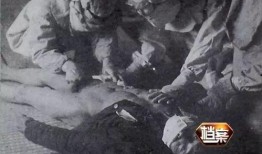 731部队在线观看,在线观看揭示的战争罪行与历史真相